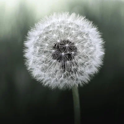 10月17日免费节点分享|21.9M/S，V2ray节点/Singbox节点/SSR节点/Clash节点|免费上网梯子每天更新