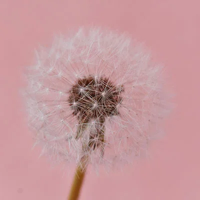 10月8日免费节点分享|22.5M/S，SSR节点/Clash节点/Singbox节点/V2ray节点|免费上网梯子每天更新